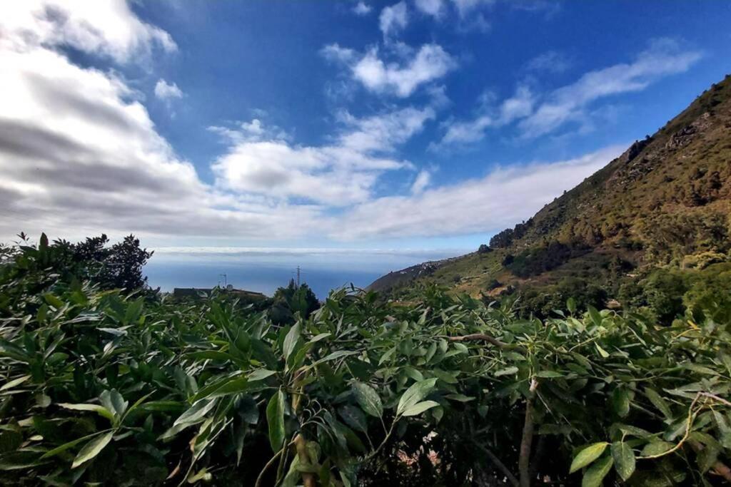 Casa Rural La Resbala - Casa Drago ラ・オロタバ エクステリア 写真
