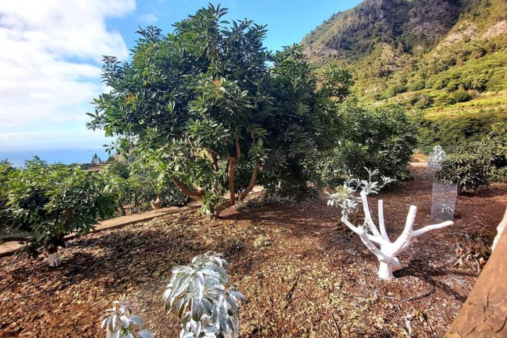 Casa Rural La Resbala - Casa Drago ラ・オロタバ エクステリア 写真