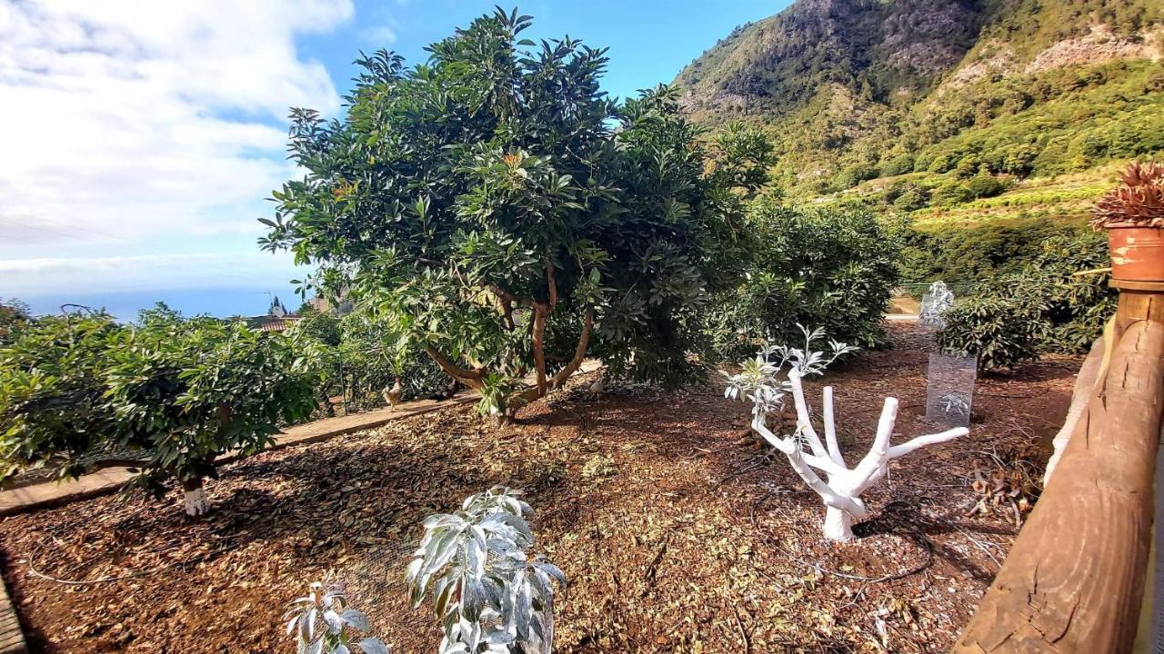 Casa Rural La Resbala - Casa Drago ラ・オロタバ エクステリア 写真
