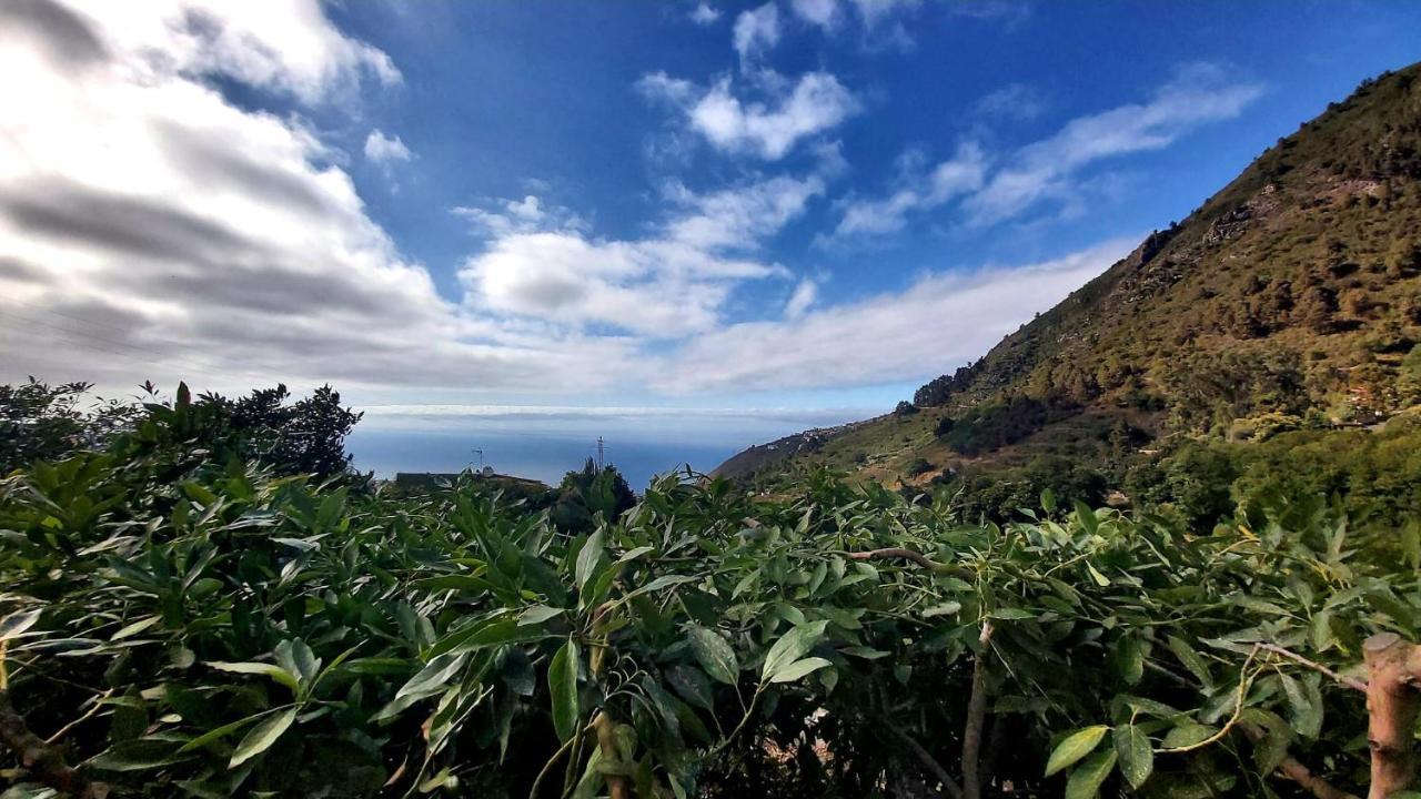 Casa Rural La Resbala - Casa Drago ラ・オロタバ エクステリア 写真